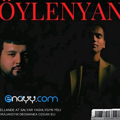 Öýlenýän